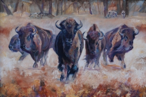 Buffalo Sold