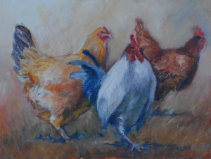 Rooster
