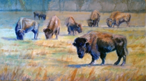 Prairie Buffalo