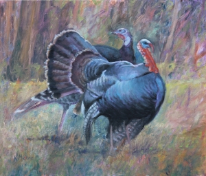 Two Gobblers